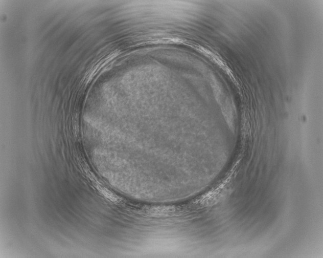 X0000059800889200511111558