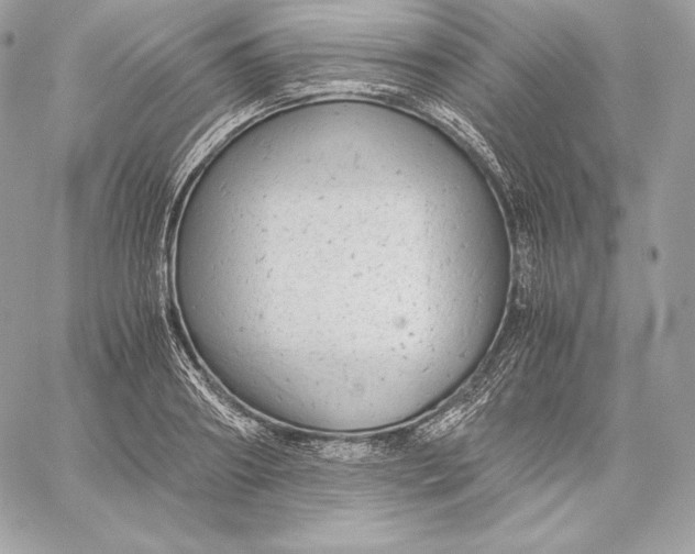 X0000059800890200511111558