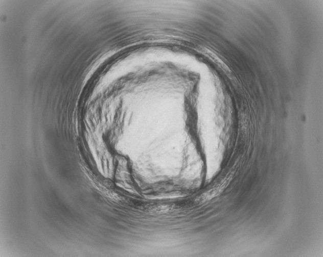 X0000059800891200511111558