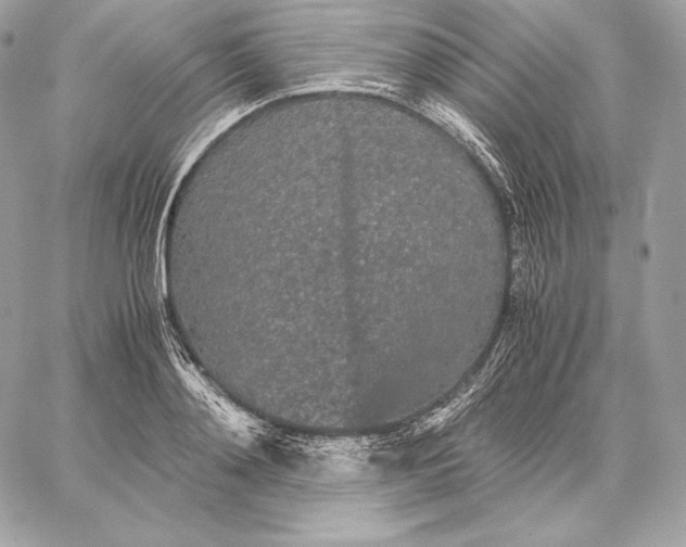 X0000059800892200511111558