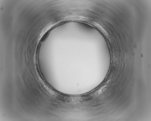 X0000059800893200511111558