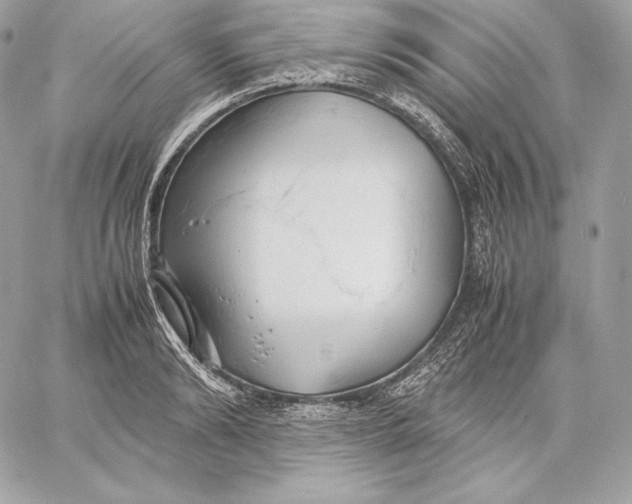 X0000059800894200511111558