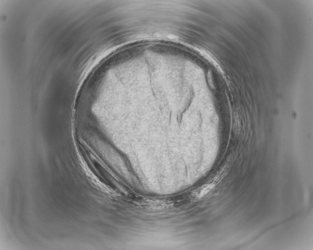 X0000059800895200511111558