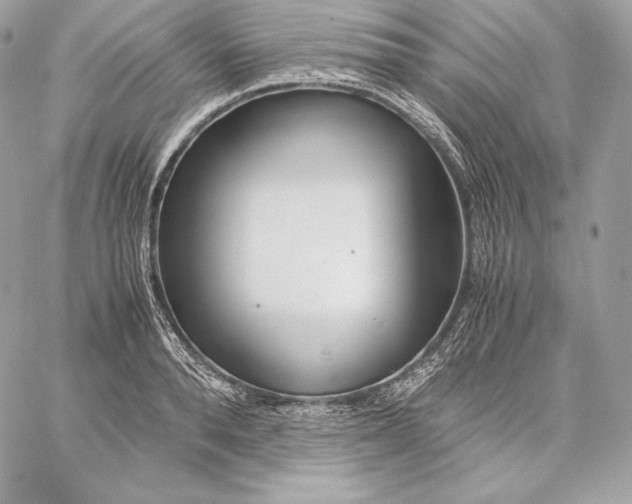 X0000059800896200511111558