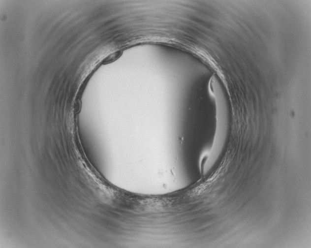 X0000059800898200511111558