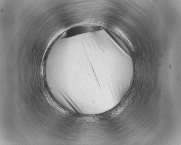 X0000059800900200511111558