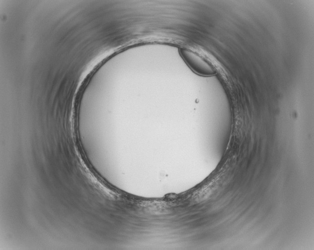 X0000059800902200511111558