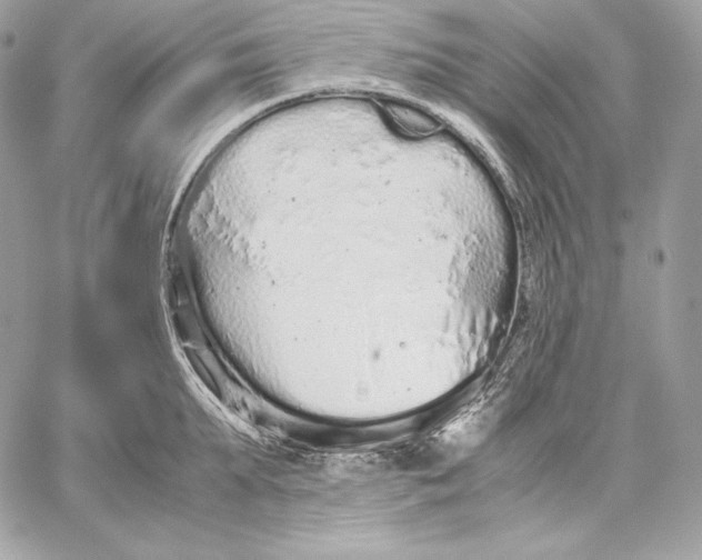 X0000059800903200511111558