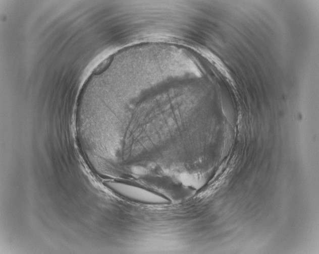 X0000059800904200511111558