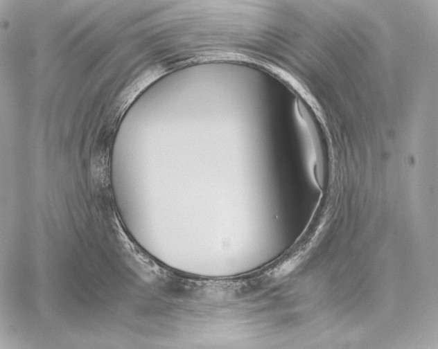 X0000059800905200511111558