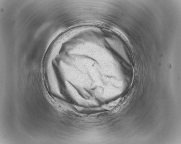 X0000059800907200511111558