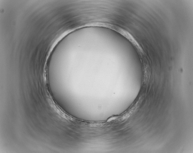 X0000059800908200511111558