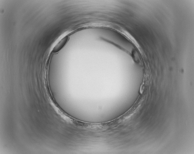 X0000059800909200511111558