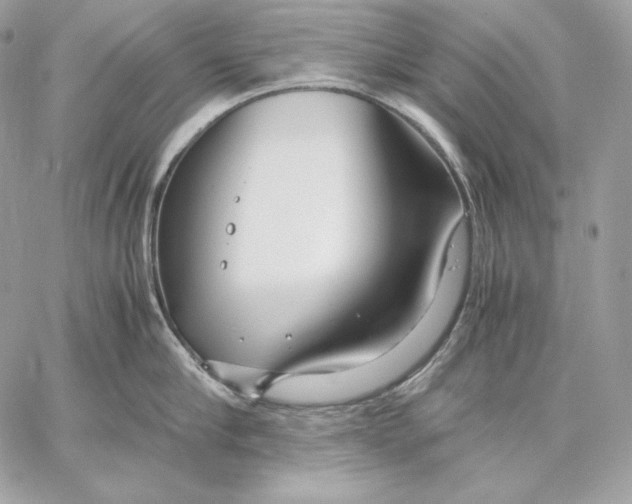 X0000059800910200511111558