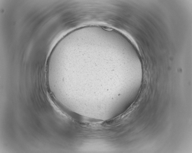 X0000059800911200511111558