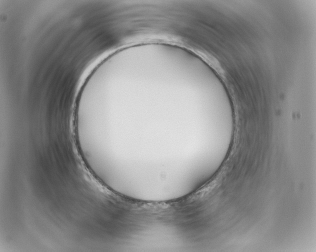 X0000059800912200511111558