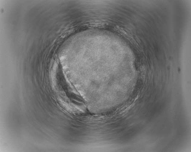 X0000059800913200511111557