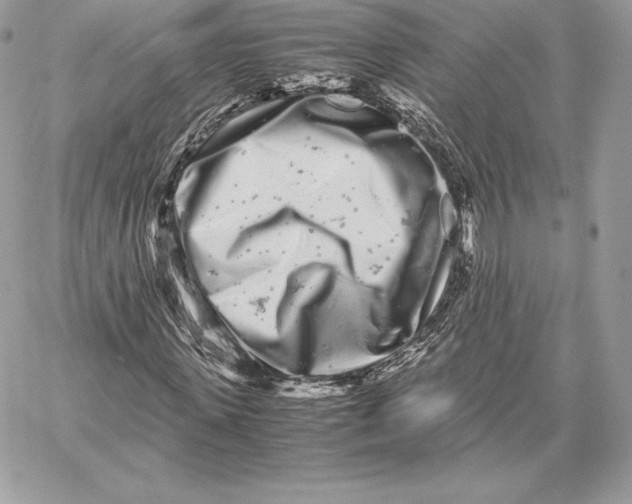 X0000059800915200511111557