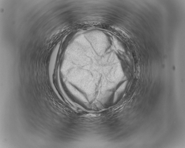 X0000059800917200511111557