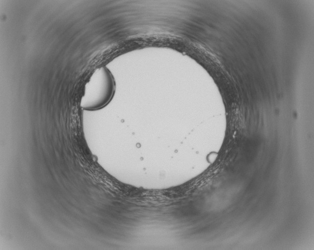 X0000059800918200511111557