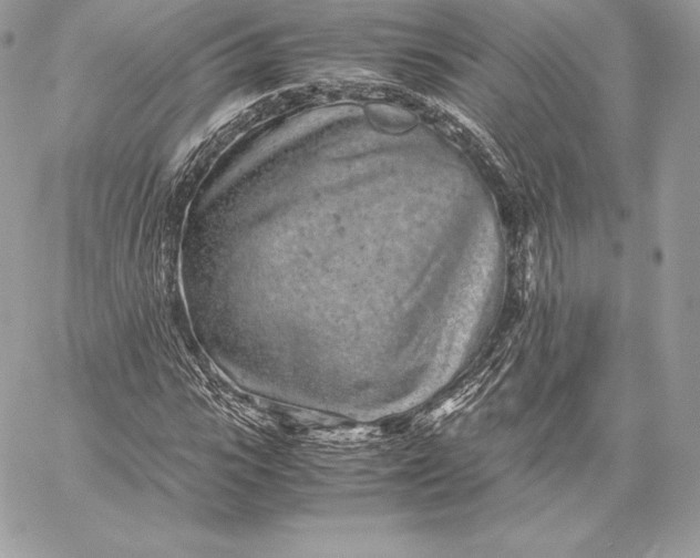 X0000059800919200511111557