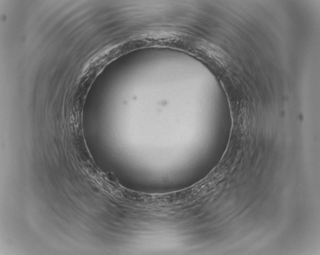 X0000059800920200511111557