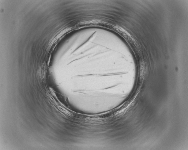 X0000059800921200511111557