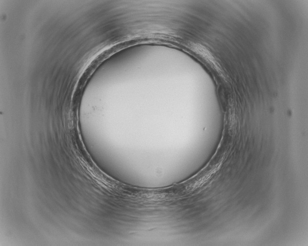 X0000059800924200511111557