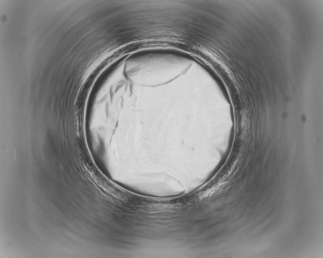 X0000059800925200511111557