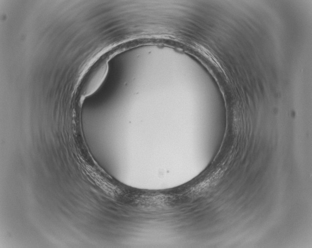 X0000059800926200511111557