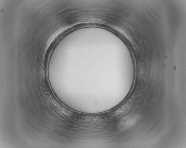 X0000059800927200511111557