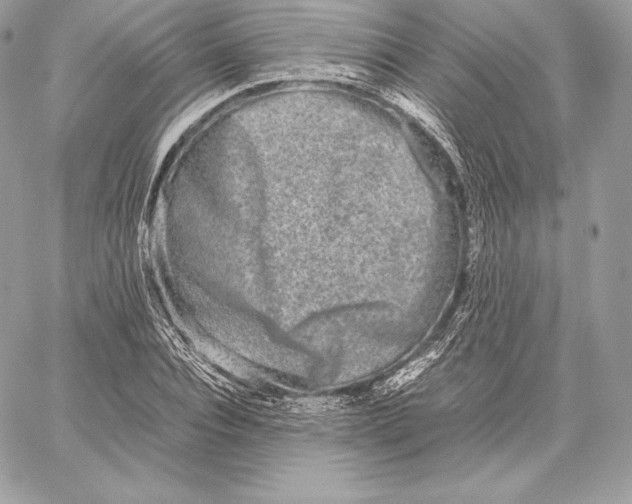 X0000059800928200511111557