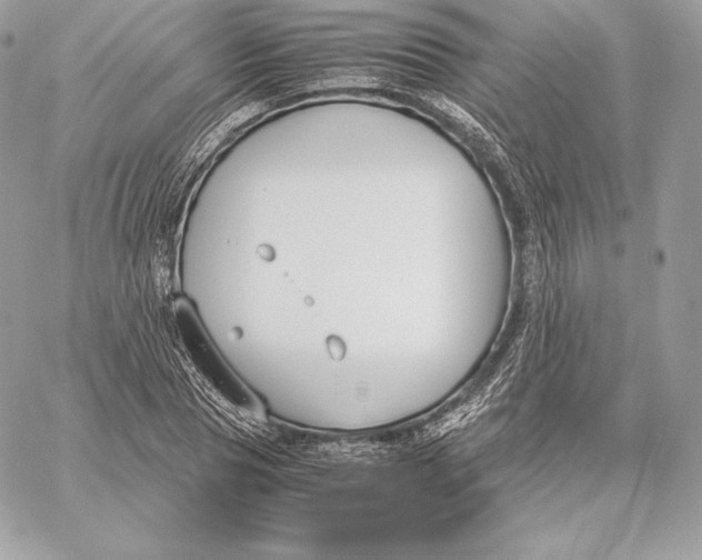 X0000059800929200511111557