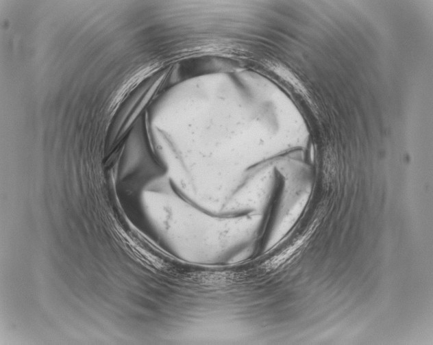 X0000059800930200511111557