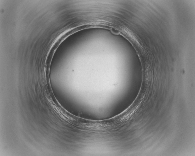 X0000059800932200511111557