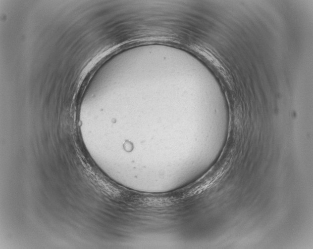 X0000059800933200511111557