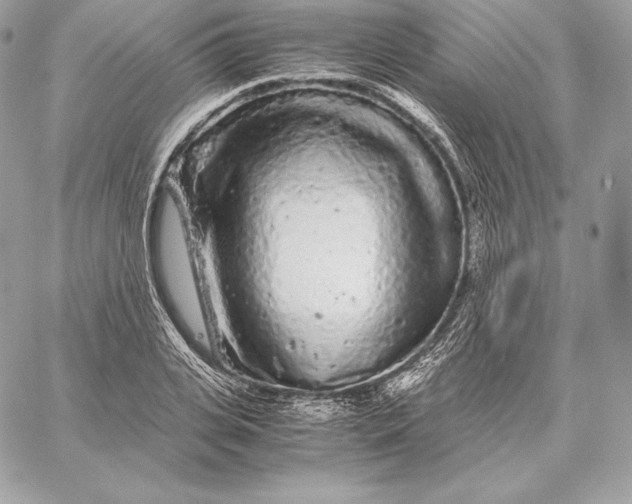 X0000059800935200511111557