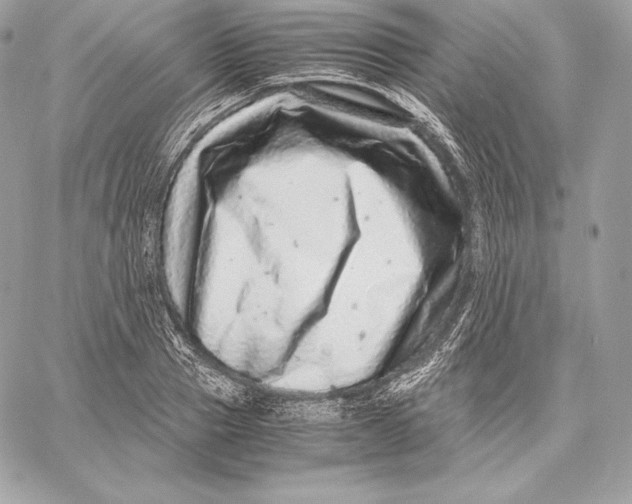 X0000059800937200511111557