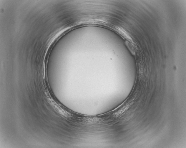 X0000059800940200511111557