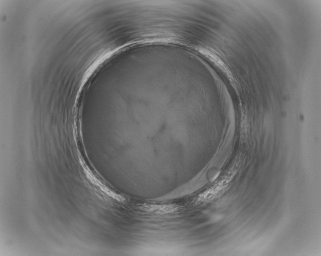 X0000059800941200511111557