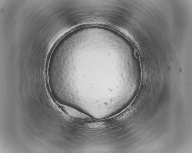 X0000059800943200511111557