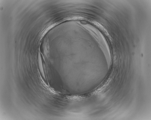 X0000059800945200511111557