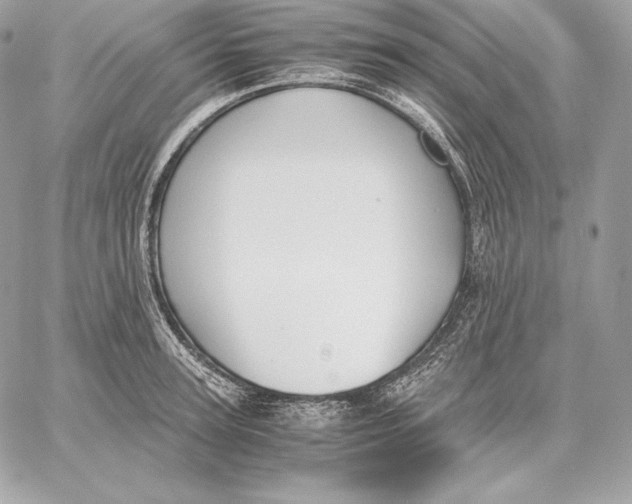 X0000059800947200511111557