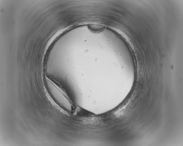 X0000059800949200511111557