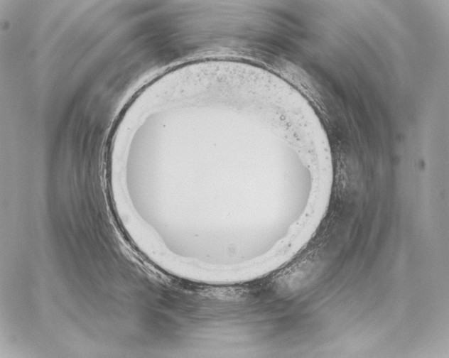 X0000059800950200511111557