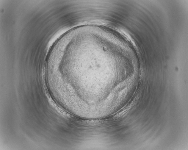 X0000059800952200511111558