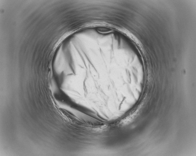 X0000059800953200511111558