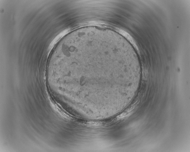 X0000059800954200511111558