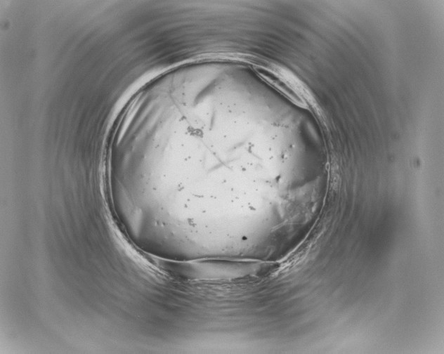 X0000059800955200511111558