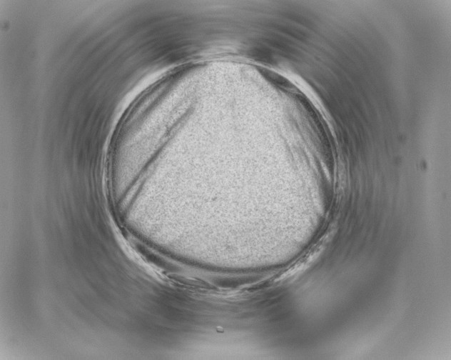 X0000059800957200511111558